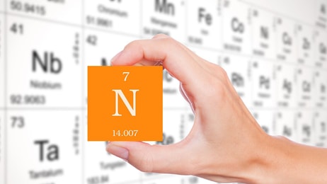nitrogen gases