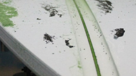 photo courtesy of the california center for algae biotechnology