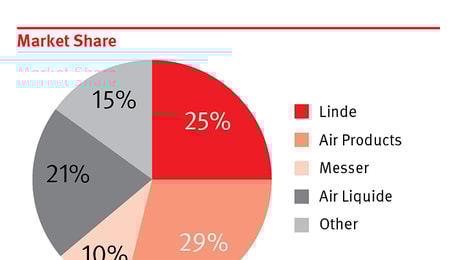 Poland market share 2014