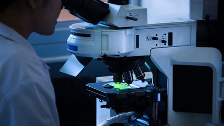Laboratory research