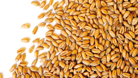 Grain
