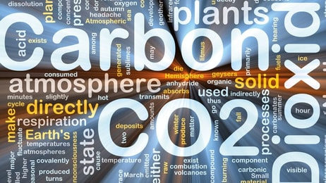 August 2014 Carbon Dioxide