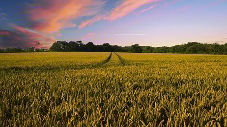countryside-2326787_960_720