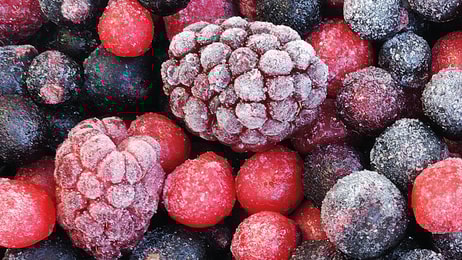 Demand for dry ice heats up_Frozen food