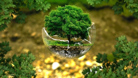 Environmental protection 326923 1280