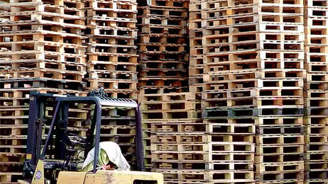 Forklift with pallets