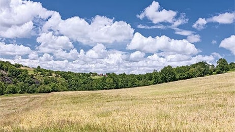 Green fields