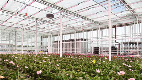 Greenhouse2030