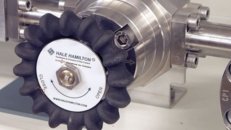 hale hamilton