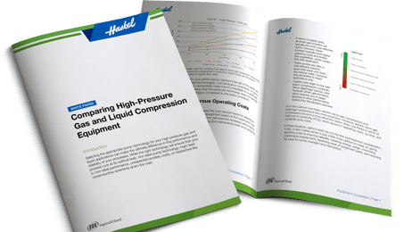 haskel_whitepaper_gw_mockup