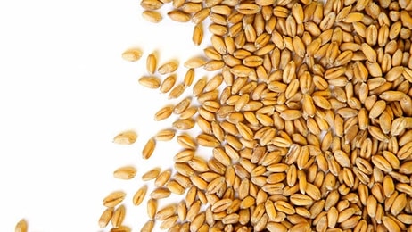 Biofuel