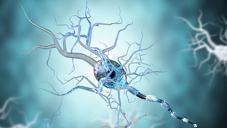 life sciences research