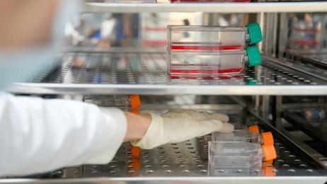 Life Science Incubators