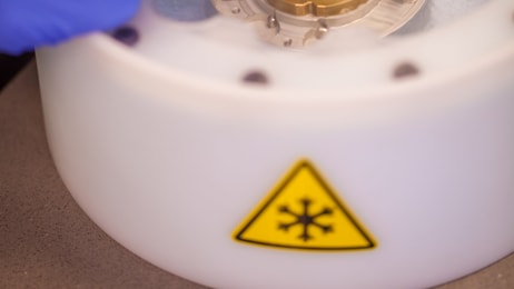 Preparing cryo-electron microscopy grid sample in liquid nitrogen with protective gloves