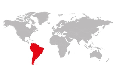 Regional Markets, focus on South America