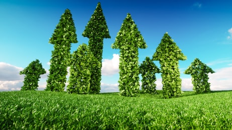 shutterstock_1194256762