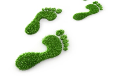 shutterstock_1449580460