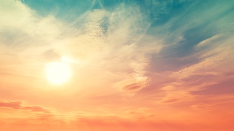shutterstock_1598747077
