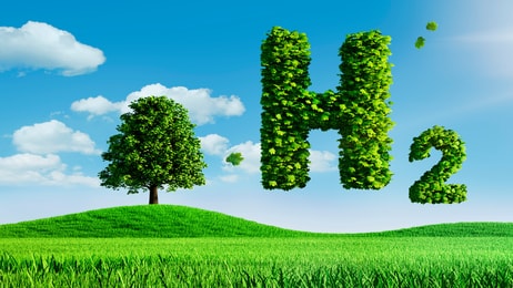 shutterstock_1641581776