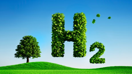 shutterstock_1643363851