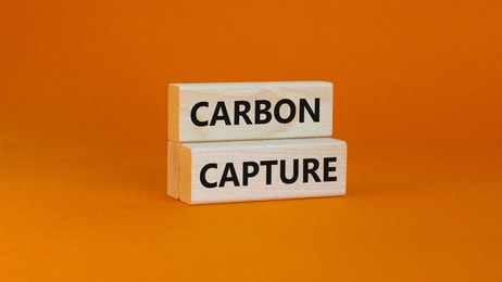shutterstock_2071294943