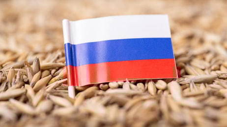 shutterstock_2117246777
