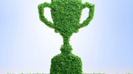 shutterstock_772691776