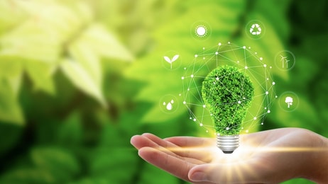 Sustainability green