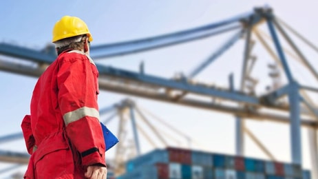unloading-of-a-container-ship-by-huge-cranes Distribution