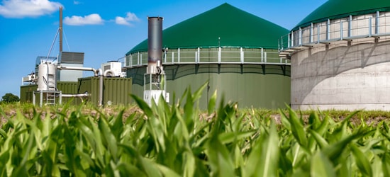 European developer CycleØ to invest in 30 Spanish biogas plants
