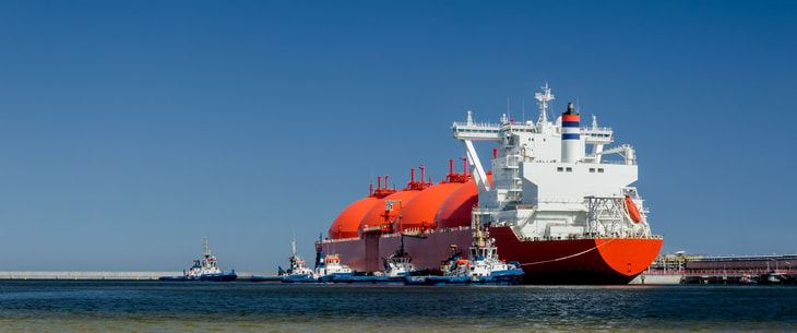 Bio-LNG deemed ‘absolutely urgent’ during world biogas event