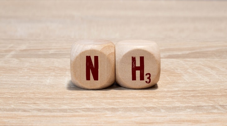 German partners to demo ammonia cracker covering imports to hydrogen