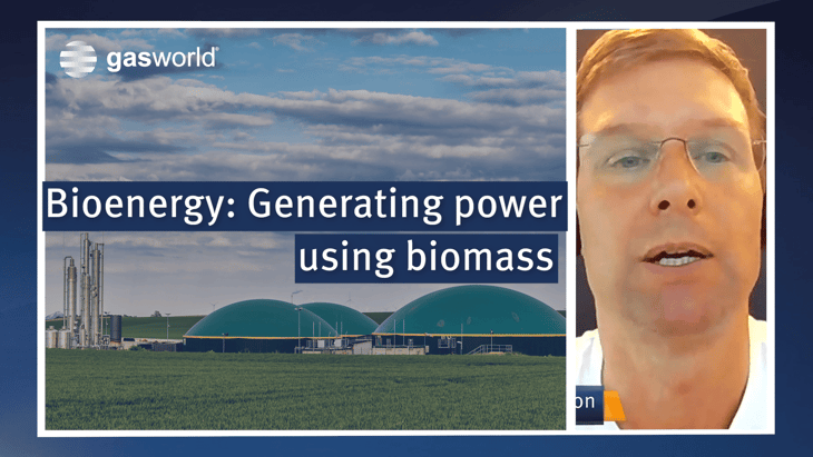 Video: Bioenergy: Generating power using biomass