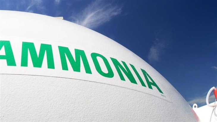 Elcogen and Casale team up on green ammonia and Power-to-X projects