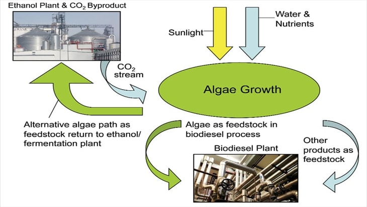 Feedstocks Evolve with the Production of Ethanol