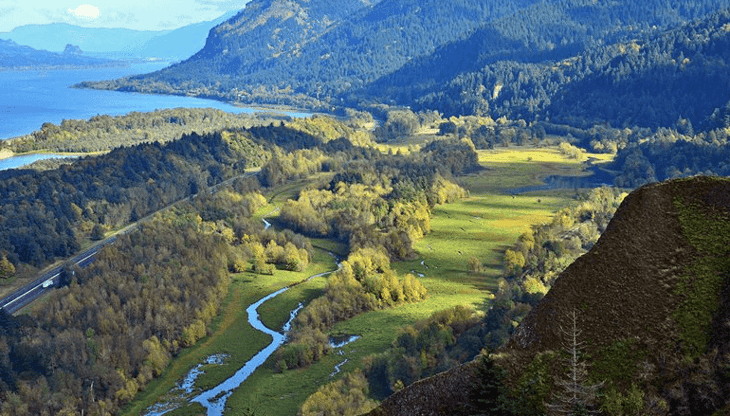 Washington State launches ‘cap and invest’ CO2 emissions programme