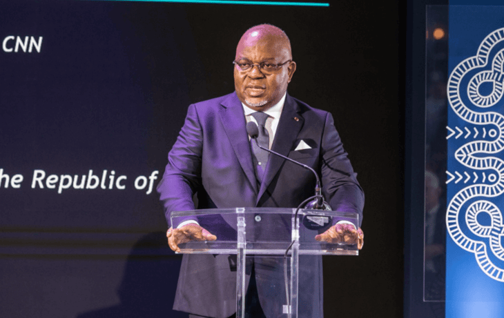 Africa ‘cannot leave 620trn cubic feet of gas stranded’