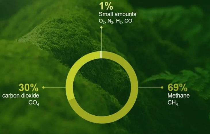 Ence targets 1TWh biomethane production by 2030