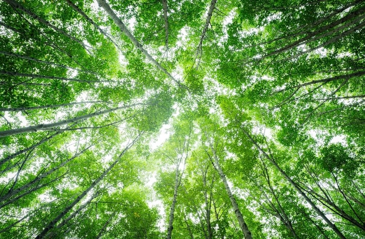 Air Water commits to better nature and biodiversity reporting