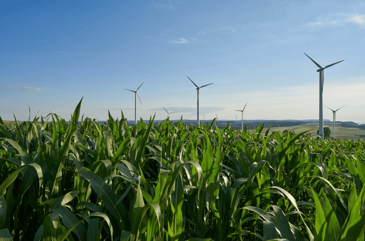 Wind turbines and corn fields: new technology for carbon to fuel