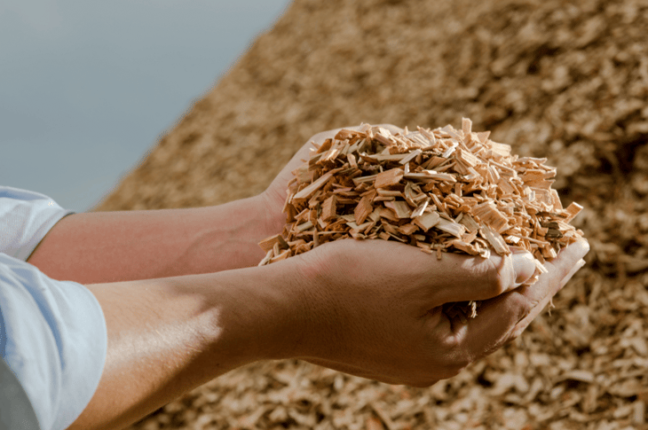The circular economy – from a wood chip plant to growing plants
