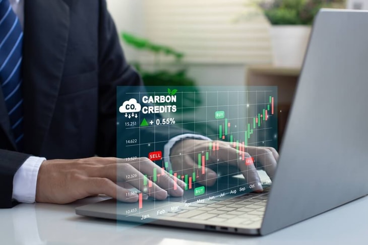 Credit market for CO2 removals forecast to reach $14bn by 2035