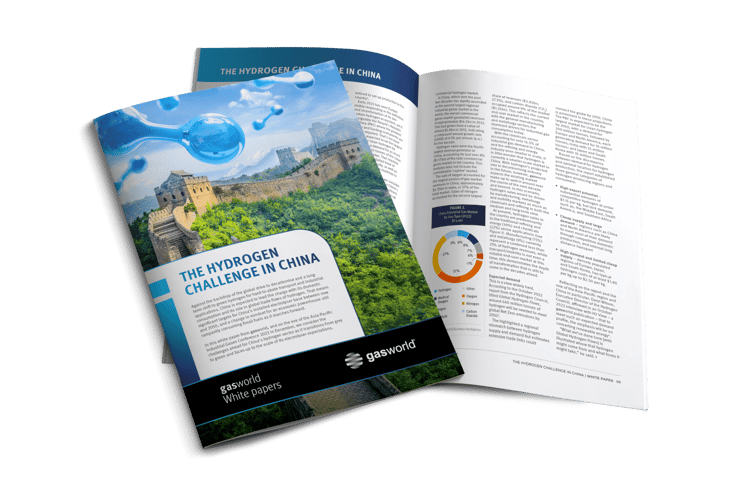 White paper: The Hydrogen Challenge in China
