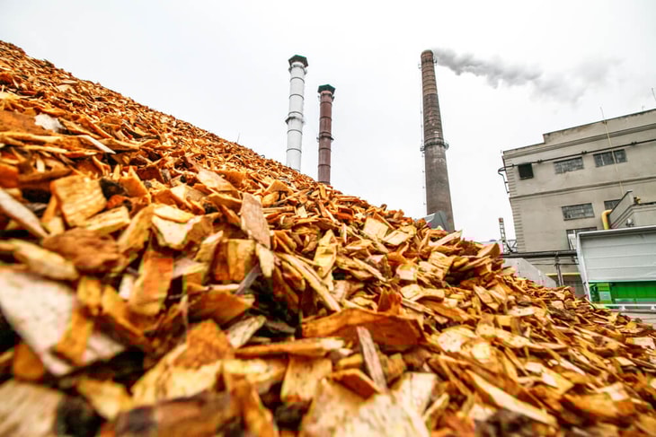 Clean energy firm delivers landmark 1000th biomass plant