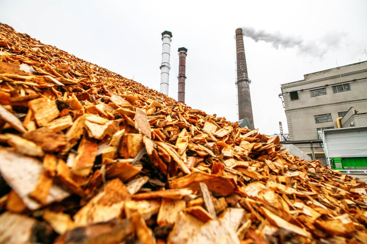 Clean energy firm delivers landmark 1000th biomass plant