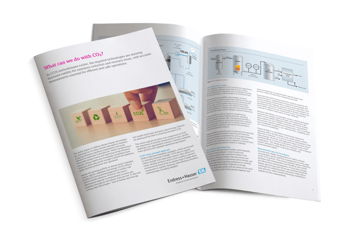 White paper: What Can We Do With CO2?