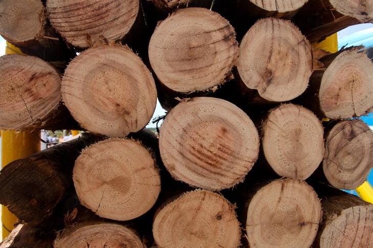 Biogenic CO2 will see growing demand from CDR and electrofuels