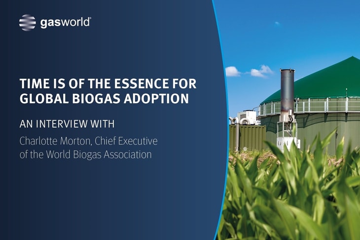 Time is of the essence for global biogas adoption