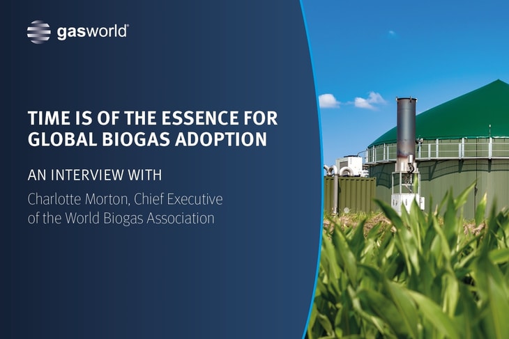 Time is of the essence for global biogas adoption