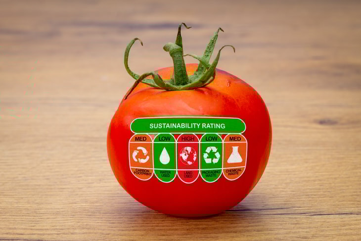 Norway’s tomato capital to catch up with carbon neutral veg push